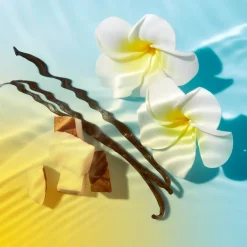 NUXE Crème Fondante Visage SPF 50 Best Sale
