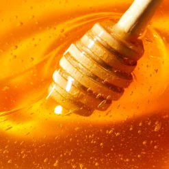NUXE Crème mains et ongles Shop