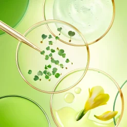NUXE La Crème Riche Anti-Âge Global Outlet